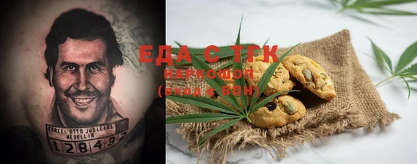 индика Осташков