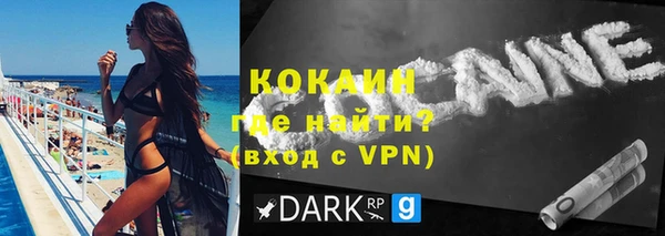 индика Осташков