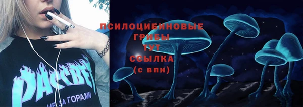 индика Осташков