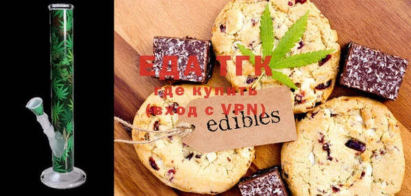 индика Осташков