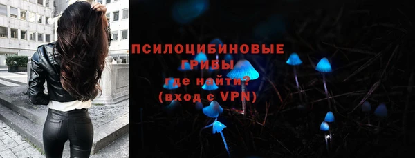 индика Осташков