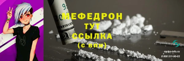 индика Осташков