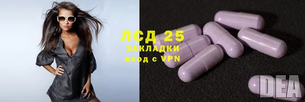 молекула духа Белая Холуница