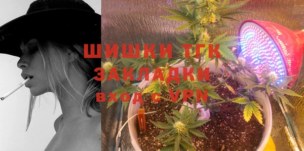 индика Осташков