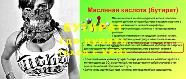 индика Осташков