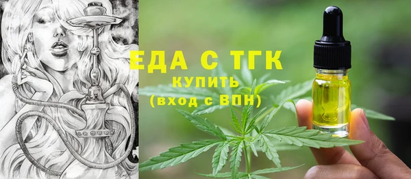 индика Осташков