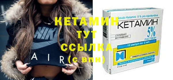 индика Осташков